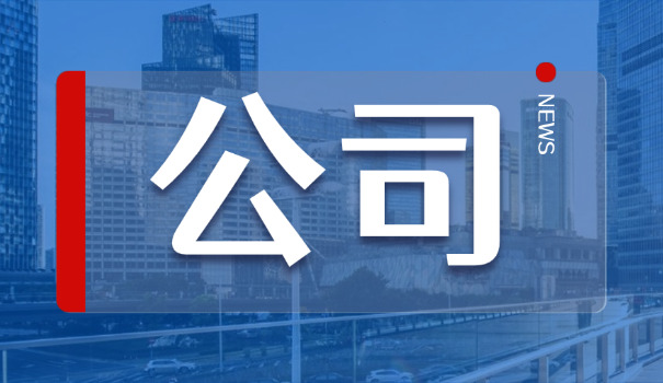 个人独资企业合伙企业公司的区别(个人独资 vs 合伙企业)